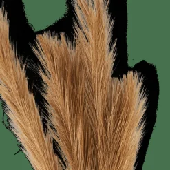 PLUME Plumes Décoratives Brun^CASA