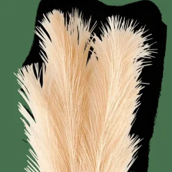 PLUME Plumes Décoratives Crème^CASA Discount