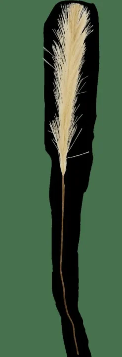 PLUME Plumes Décoratives Vert^CASA Best