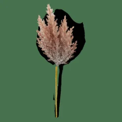 PLUME Tige Panache Orange^CASA Online