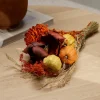 PUMPI Bouquet Fleurs Séchées Diverses Couleurs^CASA Online