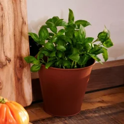 RUSTY Pot De Fleurs Brun^CASA New