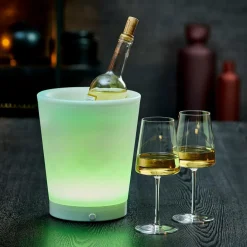 VACUVIN Refroidisseur Doré^CASA New