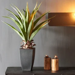 VERA Aloe Vera Vert^CASA Outlet