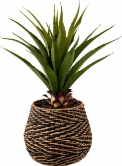 VERA Plante Grasse Sur Tige Vert^CASA Best